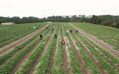 On the responsibility of the United States’ government at this hour: A Statement by the Vincentians of the Eastern Province