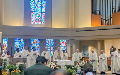 Fr. Aidan Rooney, CM, gives homily celebrating Vincentians’ 400th